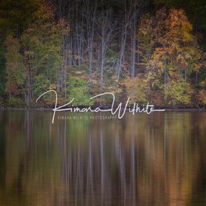 Tree Wall Art,Tree Photography,Color Tree Art,Fall Foliage,West Virginia,Lakeshore