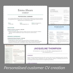 Personalised CV | resume |professional | various designs | suit your taste | printable |