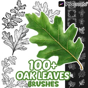 Può includere: Un set di pennelli digitali per Procreate con oltre 100 disegni di foglie di quercia. L'immagine mostra una grande foglia di quercia verde realistica accanto a varie illustrazioni in bianco e nero di foglie, rami e piante in vaso.