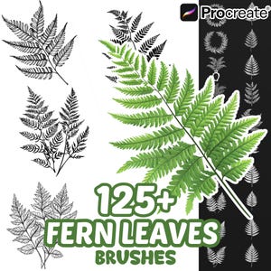 Könnte beinhalten: Eine digitale Sammlung von 125+ Farnblatt-Pinseln für Procreate, mit verschiedenen schwarz-weißen Strichzeichnungen von Farnwedeln und einer einzelnen detaillierten, leuchtend grünen Farnblattgrafik auf weißem und schwarzem Hintergrund.
