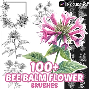 May include: A digital collection of 100+ Bee Balm flower brushes for Procreate, featuring a central watercolor illustration of a pink bee balm flower with green leaves, surrounded by various black and white line art botanical sketches.
