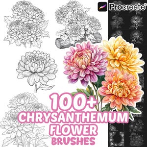 May include: A digital collection of 100+ chrysanthemum flower brushes for Procreate, featuring black and white line art illustrations of various chrysanthemum blooms and a colorful cluster of pink, yellow, and orange flowers.