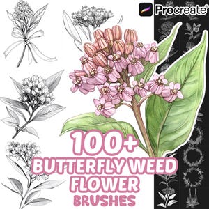 May include: A digital collection of 100+ butterfly weed flower brushes for Procreate, featuring a central coloured illustration of pink milkweed blossoms with green leaves, surrounded by various black and white line art botanical sketches.