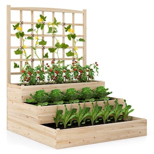 May include: A three-tiered wooden garden planter box featuring a tall integrated trellis on the top level. The planter is filled with soil and contains green leafy vegetables in the lower tiers and tomato plants with red fruit on the top.