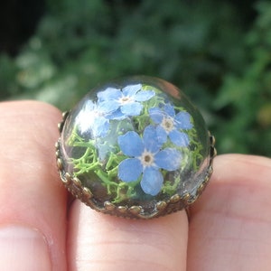 real forget-me-not ring with moss terrarium botanical ring fairy garden forgetmenot ring  real forget me not glass ring gift for women