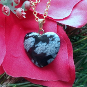 Puede incluir: Collar con colgante en forma de corazón y cadena dorada. El colgante es negro con patrones blancos en forma de copo de nieve. El collar se muestra sobre una flor rosa con follaje verde de fondo.