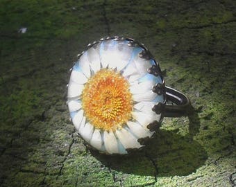 Anillo de flores reales, margarita blanca crema en resina, margarita en resina, anillo botánico, anillo de bronce, regalo para mujer,
