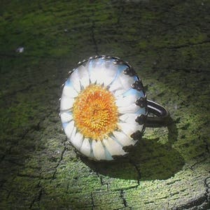 Real flower ring white daisy ring light aqua margerite fairy ring, real plant ring, botanical ring resin gift for women  garden gift