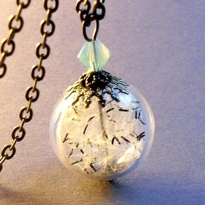 Paardebloem ketting mini bronzen opaal paardenbloem sieraden natuurlijke sieraden echte planten terrarium sieraden cadeau voor vrouwen