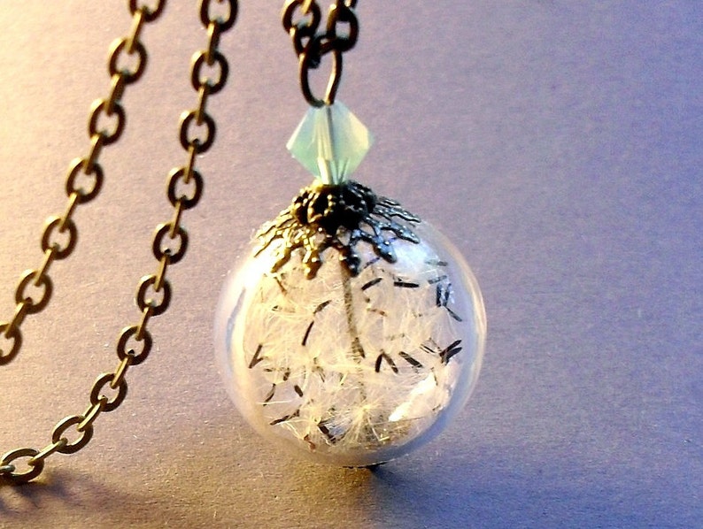 Dandelion necklace botanical jewelry real plant glass jewelry gift for women image 1