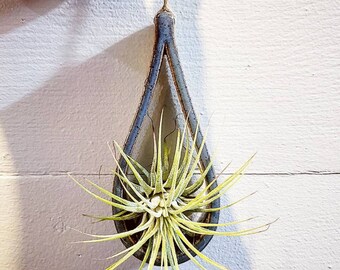 FREE SHIPPING Air Plant Holder | Bathroom Decor | Best Friend | Gift | Plant Lady | Gifts Under 15