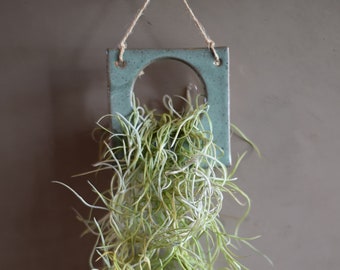 FREE SHIPPING Air Plant Square | Bathroom Decor | Best Friend | Gift | Plant Lady | Gifts Under 20