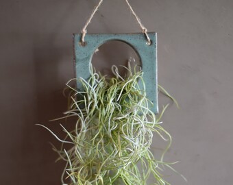 FREE SHIPPING Air Plant Square | Bathroom Decor | Best Friend | Gift | Plant Lady | Gifts Under 20