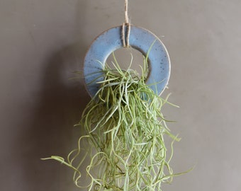FREE SHIPPING Air Plant Ring | Bathroom Decor | Best Friend | Gift | Plant Lady | Gifts Under 20