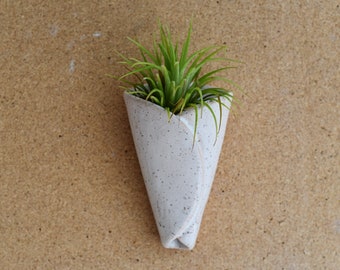 FREE SHIPPING Air Plant Cone | Bathroom Decor | Best Friend | Gift | Plant Lady | Gifts Under 20