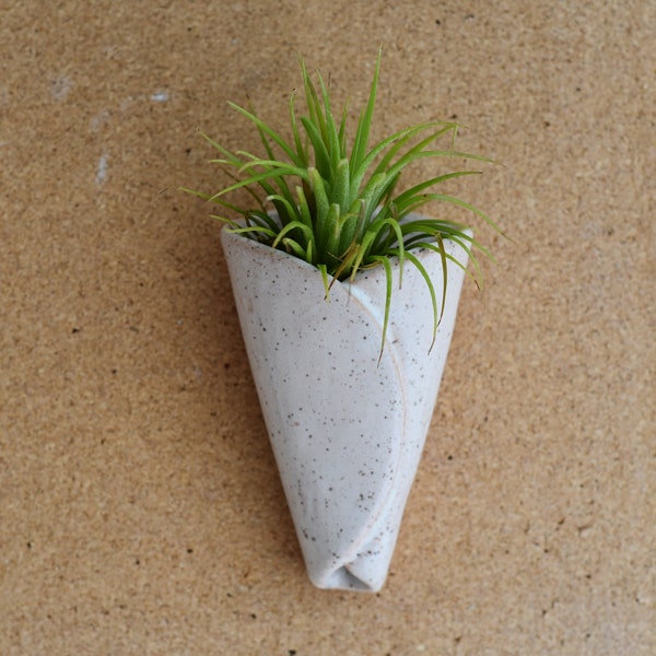 FREE SHIPPING Air Plant Cone | Bathroom Decor | Best Friend | Gift | Plant Lady | Gifts Under 20