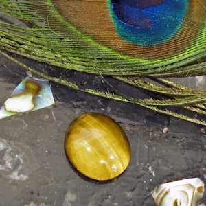 Tigers Eye Natural Chatoyant Gemstone Oval Shaped Cabochon - Tiger14X12cab