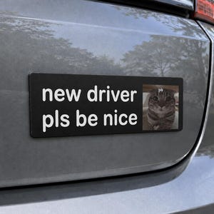 Könnte beinhalten: Ein rechteckiger schwarzer Autoaufkleber mit weißem Text, der new driver pls be nice lautet. Auf der rechten Seite des Aufklebers befindet sich ein kleines quadratisches Foto einer braunen getigerten Katze mit dem Wort gulp in kleinen weißen Buchstaben.
