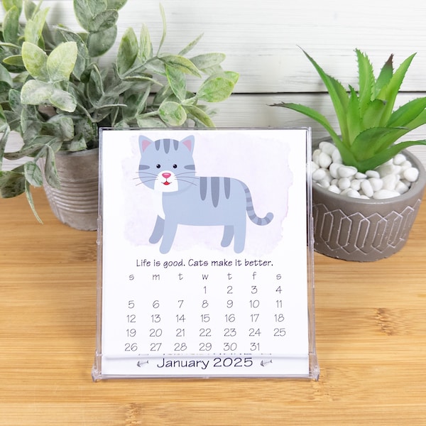 2024 Cat Calendar Desk Etsy
