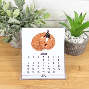 2026 Cat Lovers Desk Calendar for Home or Office, 12 Month Cat Calendar with CD Case/Stand, Cat Lovers Gift