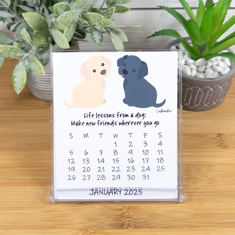 Funny Desk Calendar 2025 Etsy
