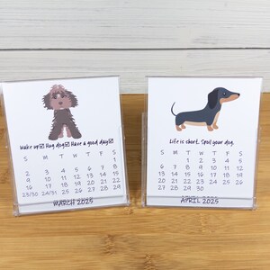 2027 Dog Calendar, Dog Lovers Calendar, 12 Month Desk Calendar with CD case/stand image 5
