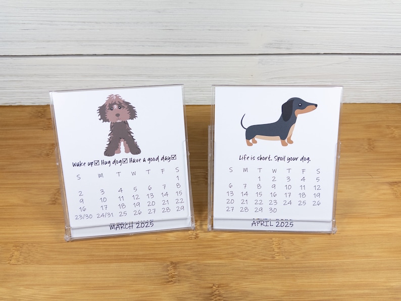 2027 Dog Calendar, Dog Lovers Calendar, 12 Month Desk Calendar with CD case/stand image 5