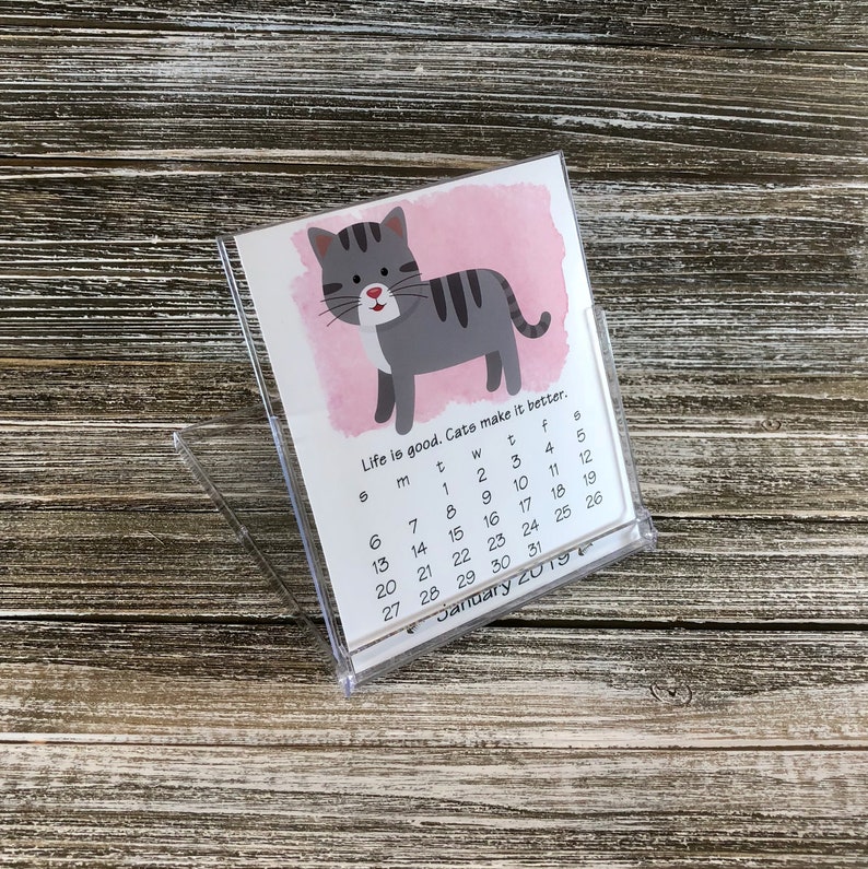 2019 Cat Desk Calendar 12 Months With Cd Case 2 Image 0