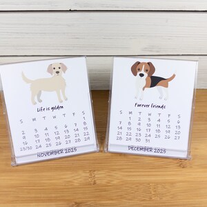 2027 Dog Calendar, Dog Lovers Calendar, 12 Month Desk Calendar with CD case/stand image 9