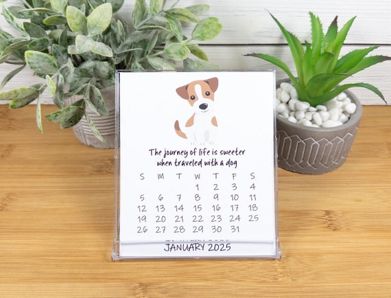 2027  Dog Calendar, Dog Lovers Calendar, 12 Month Desk Calendar with CD case/stand