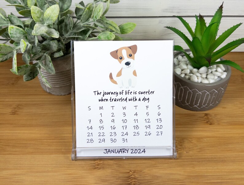 2024 Dog Calendar, Dog Lovers Calendar, 12 Month Desk Calendar with CD case/stand DC2 image 1