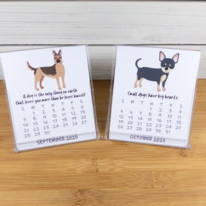 2027 Dog Calendar, Dog Lovers Calendar, 12 Month Desk Calendar with CD case/stand image 8