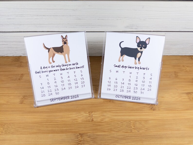 2027 Dog Calendar, Dog Lovers Calendar, 12 Month Desk Calendar with CD case/stand image 8