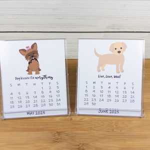 2027 Dog Calendar, Dog Lovers Calendar, 12 Month Desk Calendar with CD case/stand image 6