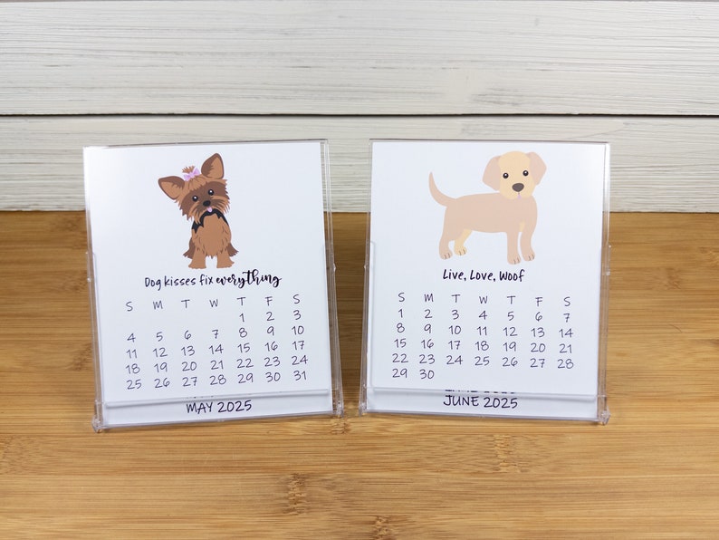 2027 Dog Calendar, Dog Lovers Calendar, 12 Month Desk Calendar with CD case/stand image 6