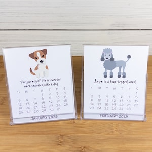 2027 Dog Calendar, Dog Lovers Calendar, 12 Month Desk Calendar with CD case/stand image 4
