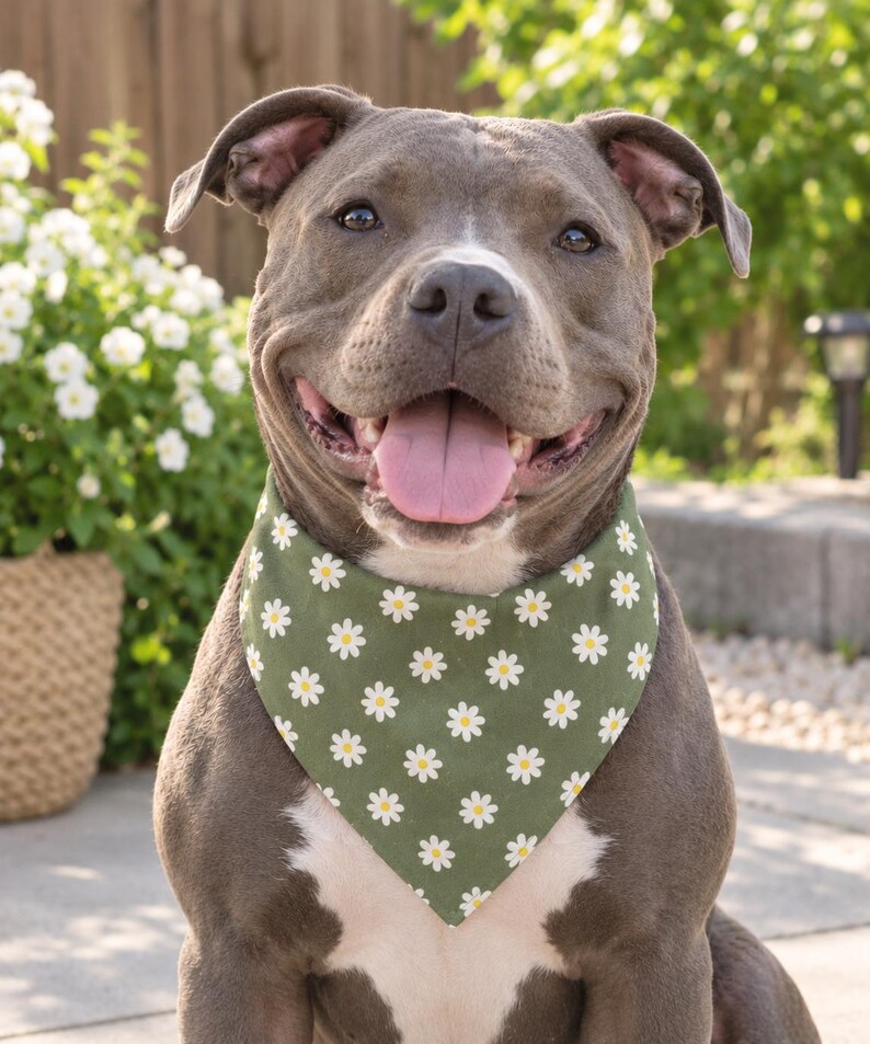 Paper Dog Tutorial Dog Scrunchie Bandana Sewing Pattern, DIY Pet Scarf PDF, Reversible Dog ...