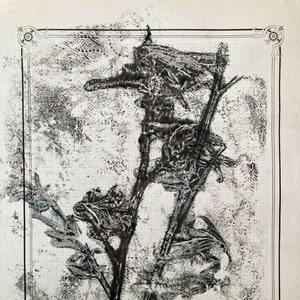 Herbier numero 21