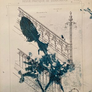 Herbier numero 19