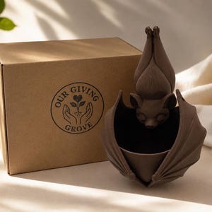 Brown Bat next to the shipping box you'll receive.