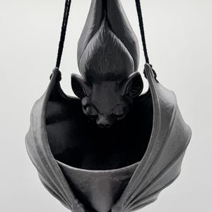 Shimmering Black w/ Black String.  Glistens when light hits it.