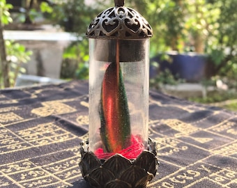 Love Attraction Oil, Magical Samberlilin Javanese Charm, Indonesian Spiritual Talisman for Magnetism, Personal Attraction, Luck And Business