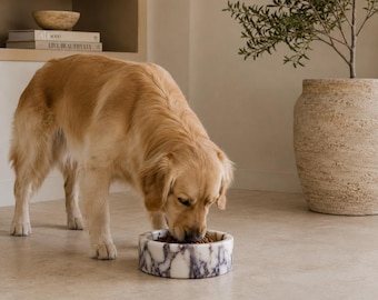 Può includere: Un golden retriever si trova su un pavimento chiaro e mangia da una ciotola rotonda per animali in marmo bianco e viola. La ciotola presenta un distinto motivo venato su tutta la superficie in pietra, offrendo una base solida per il pasto.