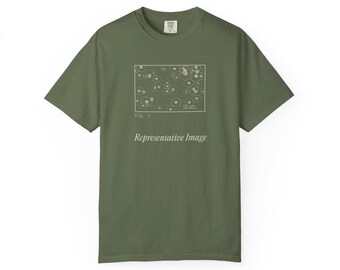 Microscopy Research Shirt, Representative Image Science Tee, Comfort Colors Vintage Style