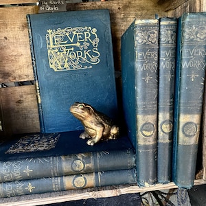 Antique Books The Works of Charles Lever Set of 6 Volumes with Interesting Illustrations