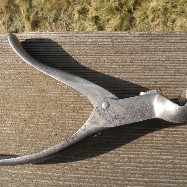 Saw Tooth Setter Etsy