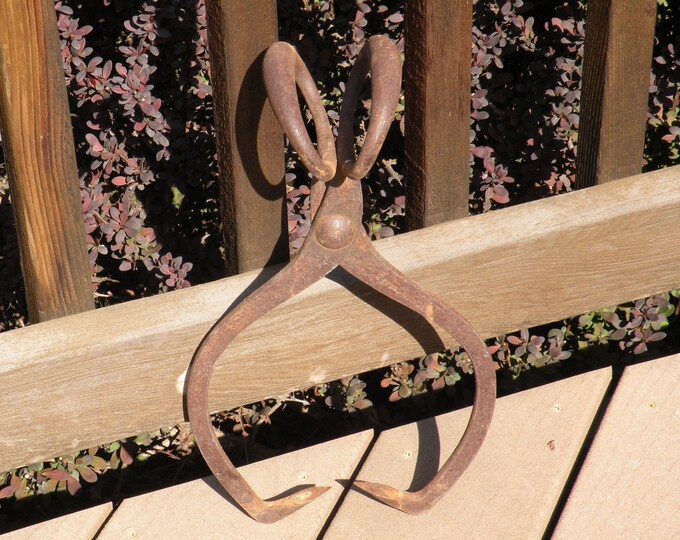 Vintage Ice Block Tongs, Hand Ice Hooks, Gifford Wood Co, Extra