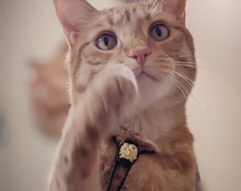 Cat Bolos! Skull Cameos