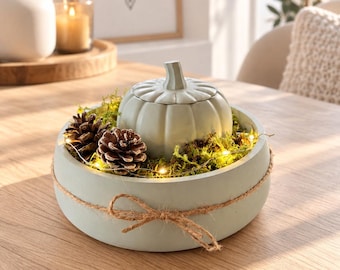 Herbstdeko Kürbis Schale mit LED Licht | Tischdeko mit Moos & Tannenzapfen | Handgemachte Dekoschale | Herbst Dekoration | Geschenkidee