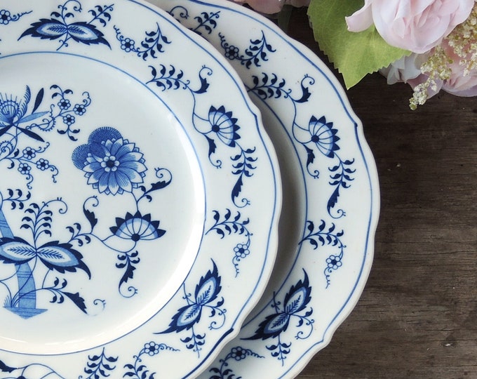 Blue Danube Dinner Plates Set of 2 Blue & White China Plates ...